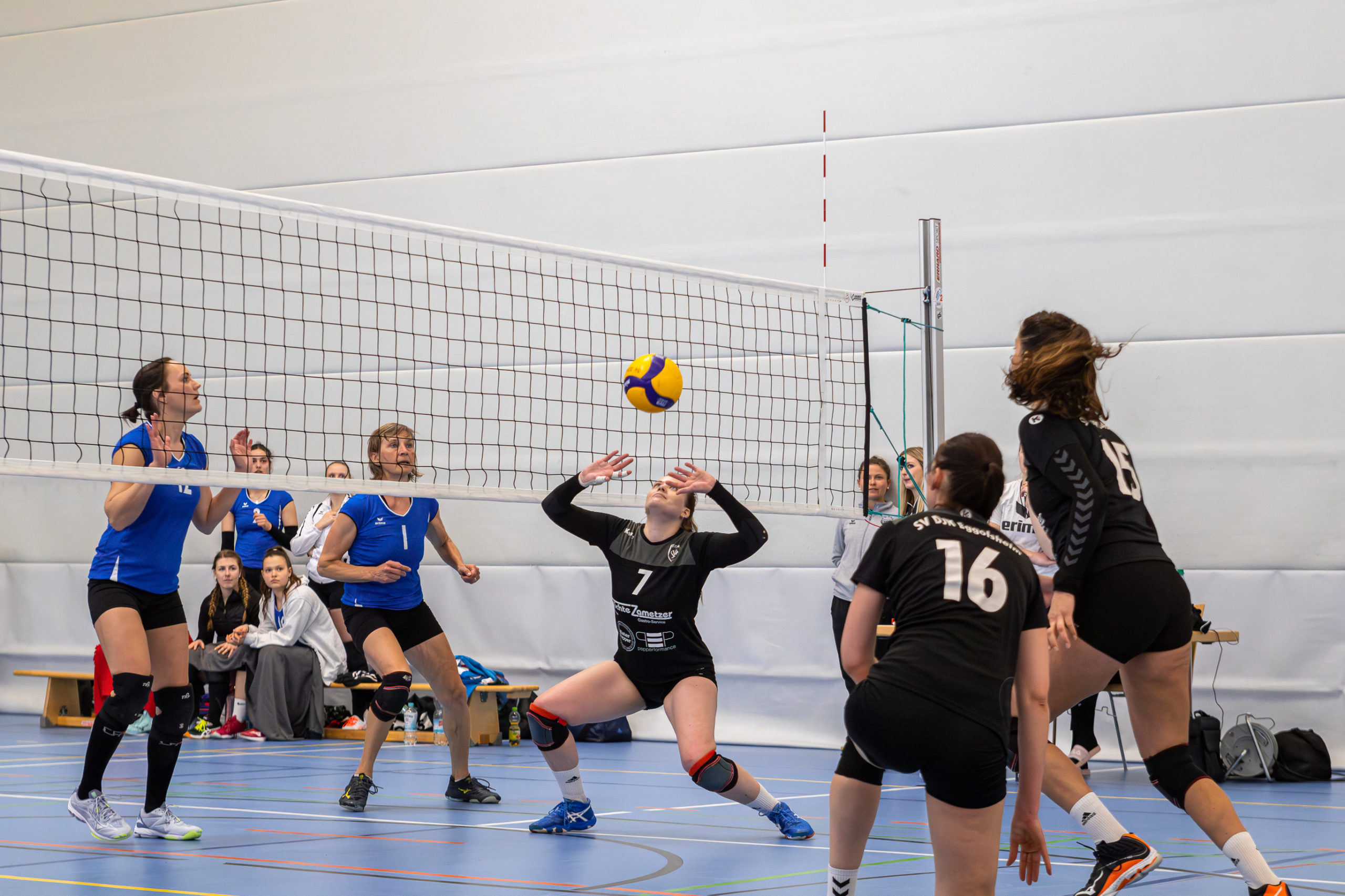 2023.4.23 - Volleyball Eggolsheim - 0006 -_