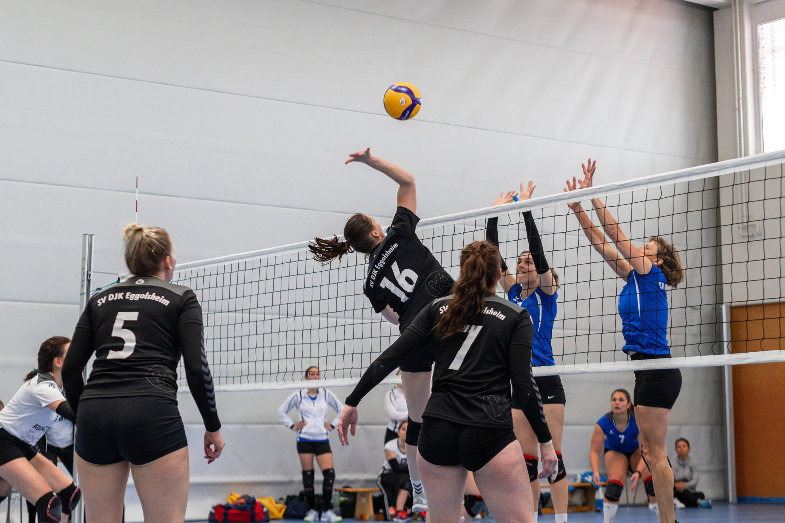 2023.4.23 - Volleyball Eggolsheim - 0090 - 9783