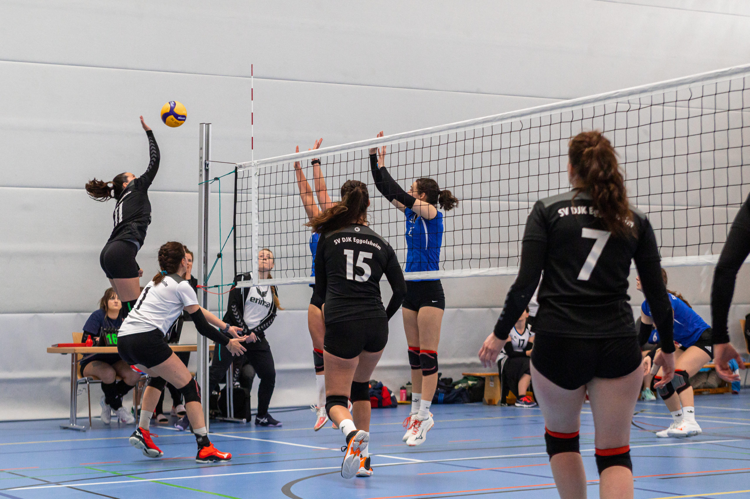 2023.4.23 - Volleyball Eggolsheim - 0095 - 9731